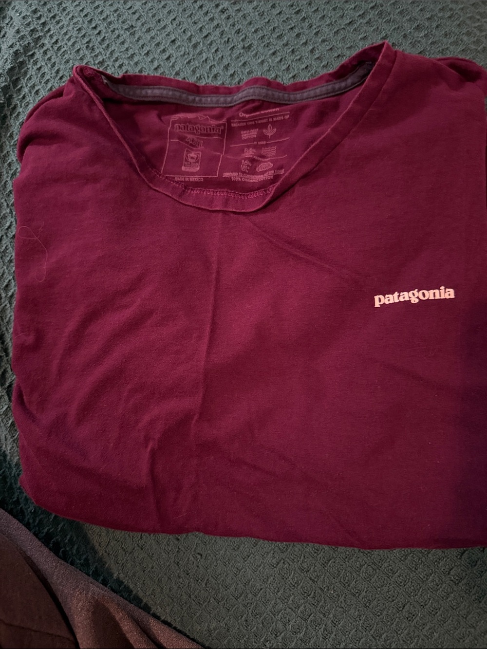 Patagonia Women's Tee in Deep Wine
